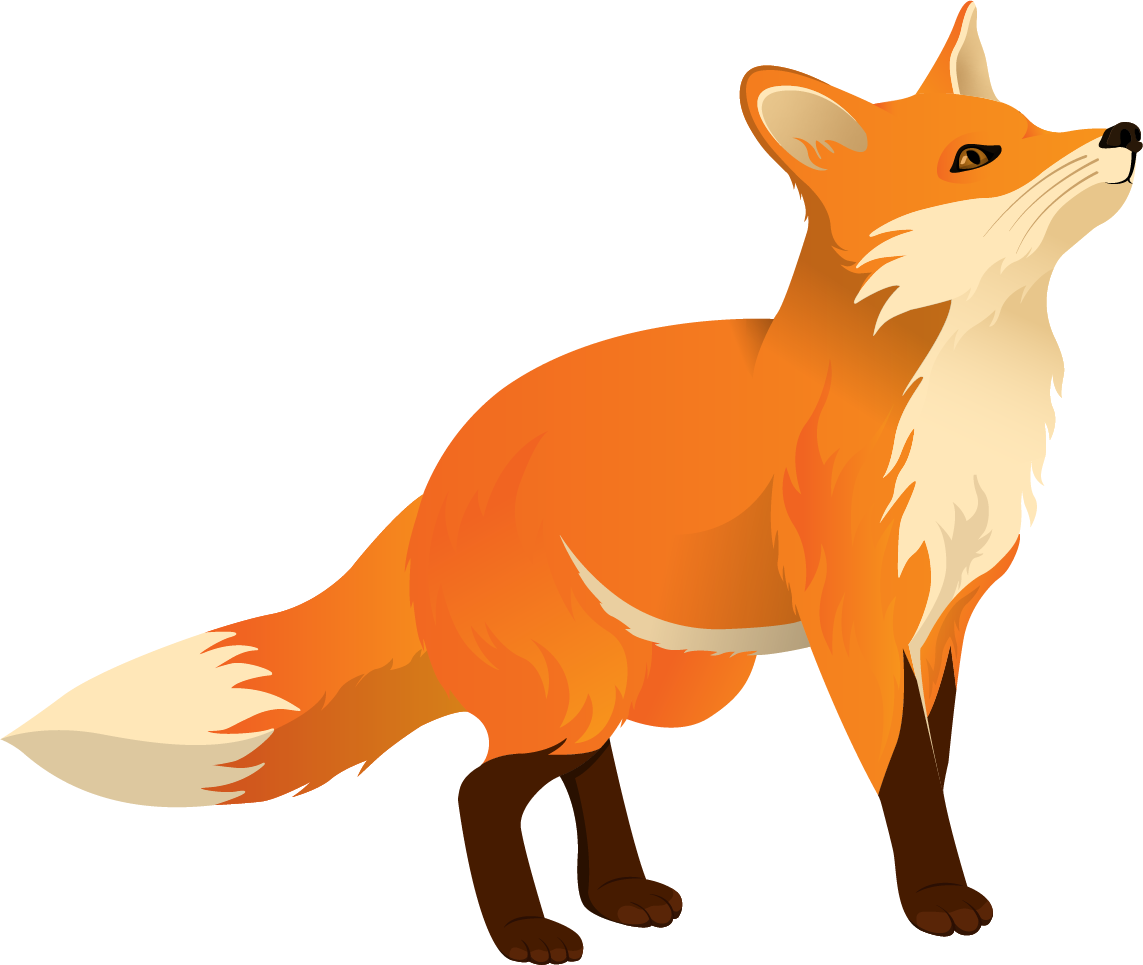 orange-fox
